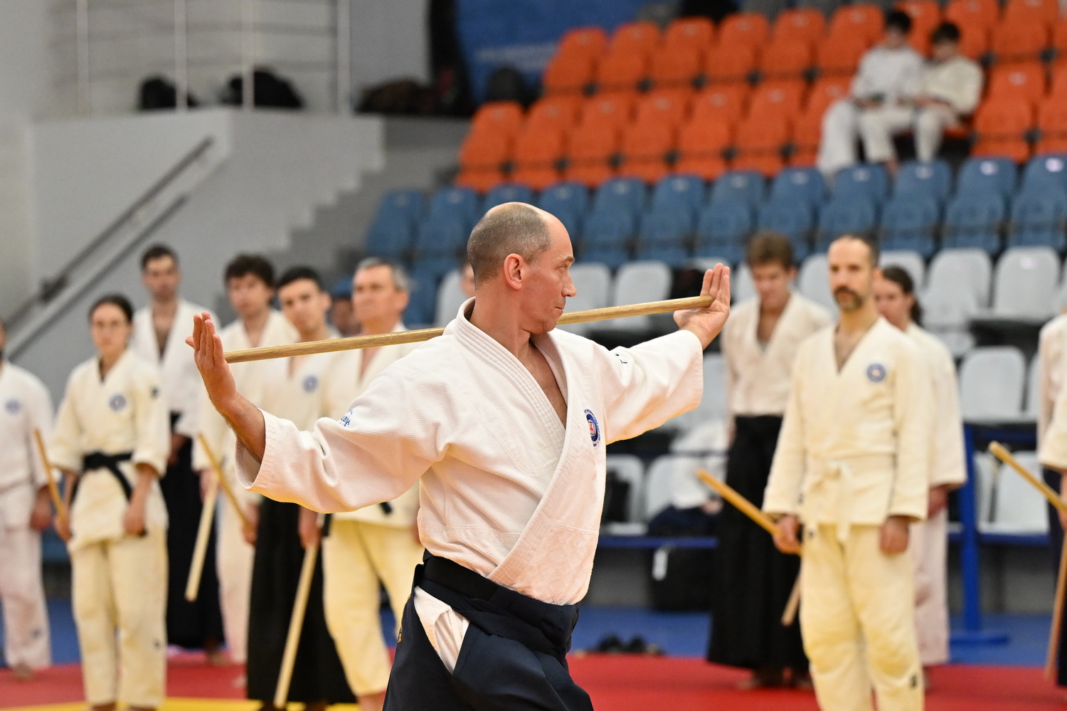 Фестиваль айкидо «VII Всероссийский Тайкай»