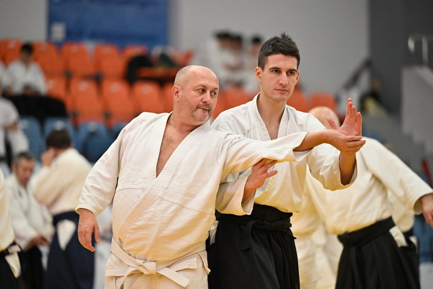 Фестиваль айкидо «VII Всероссийский Тайкай»