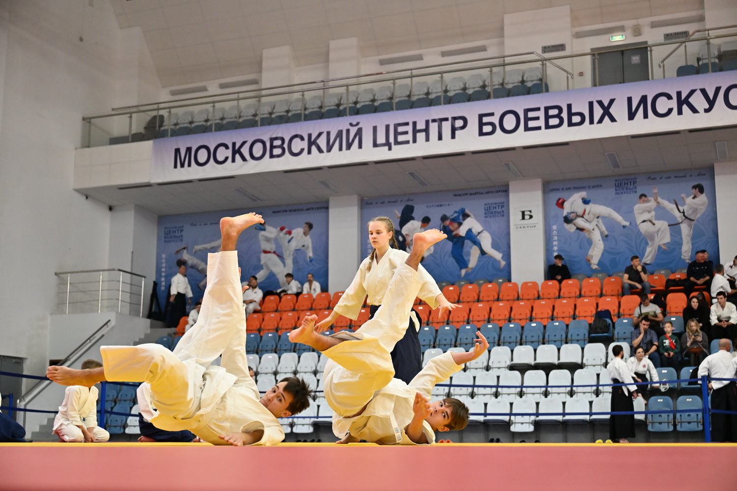Фестиваль айкидо «VII Всероссийский Тайкай»